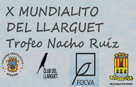 X edición del “Mundialito del Llarguet X edición del “Mundialito del Llarguet